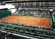 Davis Cup 